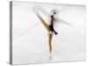 Blurred Action of Woman Figure Skater, Torino, Italy-Chris Trotman-Stretched Canvas
