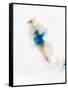 Blurred Action of Woman Figure Skater, Torino, Italy-Chris Trotman-Framed Stretched Canvas