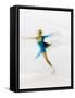 Blurred Action of Woman Figure Skater, Torino, Italy-Chris Trotman-Framed Stretched Canvas