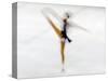 Blurred Action of Woman Figure Skater, Torino, Italy-Chris Trotman-Stretched Canvas