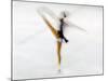 Blurred Action of Woman Figure Skater, Torino, Italy-Chris Trotman-Mounted Photographic Print