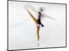 Blurred Action of Woman Figure Skater, Torino, Italy-Chris Trotman-Mounted Photographic Print