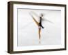 Blurred Action of Woman Figure Skater, Torino, Italy-Chris Trotman-Framed Photographic Print