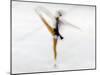 Blurred Action of Woman Figure Skater, Torino, Italy-Chris Trotman-Mounted Photographic Print