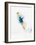 Blurred Action of Woman Figure Skater, Torino, Italy-Chris Trotman-Framed Photographic Print