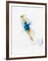 Blurred Action of Woman Figure Skater, Torino, Italy-Chris Trotman-Framed Photographic Print