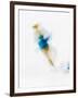 Blurred Action of Woman Figure Skater, Torino, Italy-Chris Trotman-Framed Photographic Print