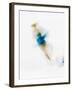 Blurred Action of Woman Figure Skater, Torino, Italy-Chris Trotman-Framed Photographic Print