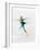 Blurred Action of Woman Figure Skater, Torino, Italy-Chris Trotman-Framed Photographic Print