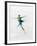 Blurred Action of Woman Figure Skater, Torino, Italy-Chris Trotman-Framed Photographic Print