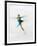 Blurred Action of Woman Figure Skater, Torino, Italy-Chris Trotman-Framed Photographic Print