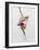 Blurred Action of Woman Figure Skater, Torino, Italy-Chris Trotman-Framed Photographic Print