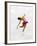 Blurred Action of Woman Figure Skater, Torino, Italy-Chris Trotman-Framed Photographic Print