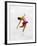 Blurred Action of Woman Figure Skater, Torino, Italy-Chris Trotman-Framed Photographic Print