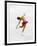 Blurred Action of Woman Figure Skater, Torino, Italy-Chris Trotman-Framed Photographic Print