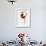 Blurred Action of Woman Figure Skater, Torino, Italy-Chris Trotman-Framed Photographic Print displayed on a wall