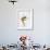 Blurred Action of Woman Figure Skater, Torino, Italy-Chris Trotman-Framed Photographic Print displayed on a wall