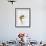 Blurred Action of Woman Figure Skater, Torino, Italy-Chris Trotman-Framed Photographic Print displayed on a wall