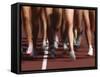 Blurred Action of Women Runners During a Track Race-Steven Sutton-Framed Stretched Canvas