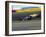 Blurred Auto Racing Action-null-Framed Photographic Print