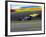 Blurred Auto Racing Action-null-Framed Photographic Print