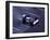 Blurred F1 Auto Racing Action-null-Framed Photographic Print