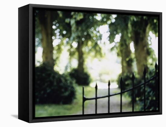 Blurred Image of a Gate and Woodland Path-null-Framed Stretched Canvas