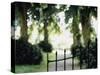 Blurred Image of a Gate and Woodland Path-null-Stretched Canvas