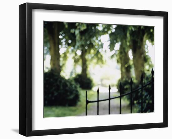 Blurred Image of a Gate and Woodland Path-null-Framed Photographic Print