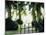 Blurred Image of a Gate and Woodland Path-null-Mounted Photographic Print