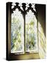 Blurred Image of a Stained Glass Window-null-Stretched Canvas