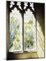 Blurred Image of a Stained Glass Window-null-Mounted Premium Photographic Print