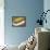 Blurred Image of a Tennis Ball Landing In Bounds-null-Framed Stretched Canvas displayed on a wall