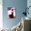 Blurred Image of Billiard Balls-null-Mounted Photographic Print displayed on a wall