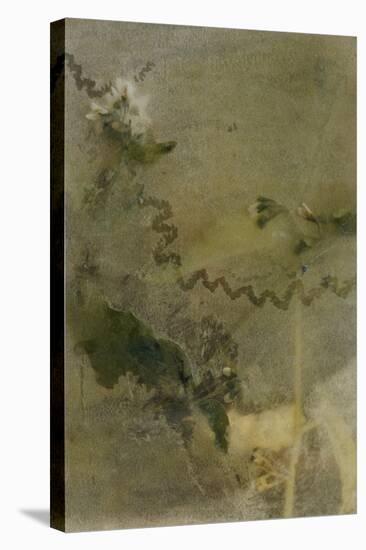 Blurred Image Of Flowers-Fay Godwin-Stretched Canvas