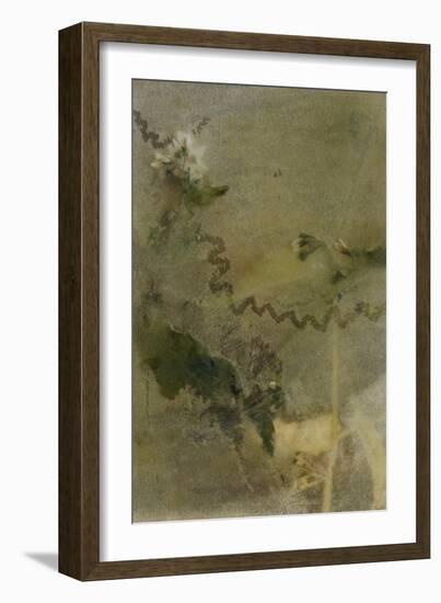 Blurred Image Of Flowers-Fay Godwin-Framed Giclee Print