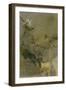 Blurred Image Of Flowers-Fay Godwin-Framed Giclee Print