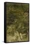 Blurred Image Of Flowers-Fay Godwin-Framed Stretched Canvas