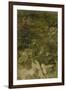 Blurred Image Of Flowers-Fay Godwin-Framed Giclee Print