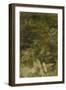 Blurred Image Of Flowers-Fay Godwin-Framed Premium Giclee Print