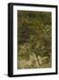 Blurred Image Of Flowers-Fay Godwin-Framed Premium Giclee Print