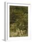 Blurred Image Of Flowers-Fay Godwin-Framed Premium Giclee Print