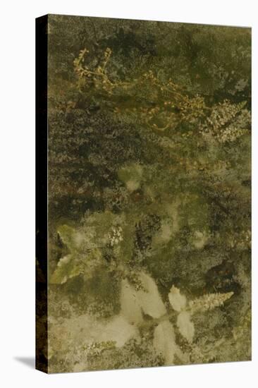 Blurred Image Of Flowers-Fay Godwin-Stretched Canvas