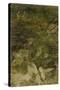 Blurred Image Of Flowers-Fay Godwin-Stretched Canvas