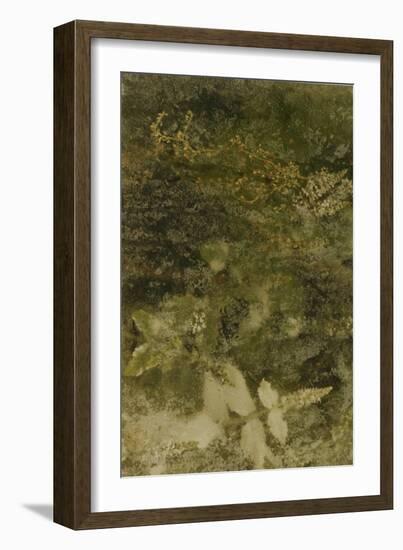 Blurred Image Of Flowers-Fay Godwin-Framed Giclee Print