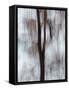 Blurred image of foliage achieved by panning the camera during time exposure-Jan Halaska-Framed Stretched Canvas