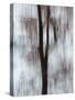 Blurred image of foliage achieved by panning the camera during time exposure-Jan Halaska-Stretched Canvas