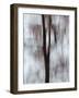 Blurred image of foliage achieved by panning the camera during time exposure-Jan Halaska-Framed Photographic Print