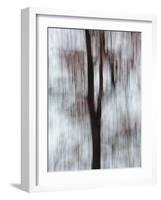 Blurred image of foliage achieved by panning the camera during time exposure-Jan Halaska-Framed Photographic Print