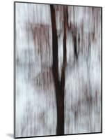 Blurred image of foliage achieved by panning the camera during time exposure-Jan Halaska-Mounted Photographic Print